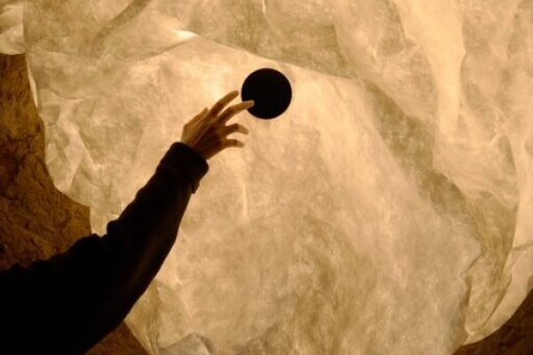 Peckal Agency - Flos Österreich - Maap